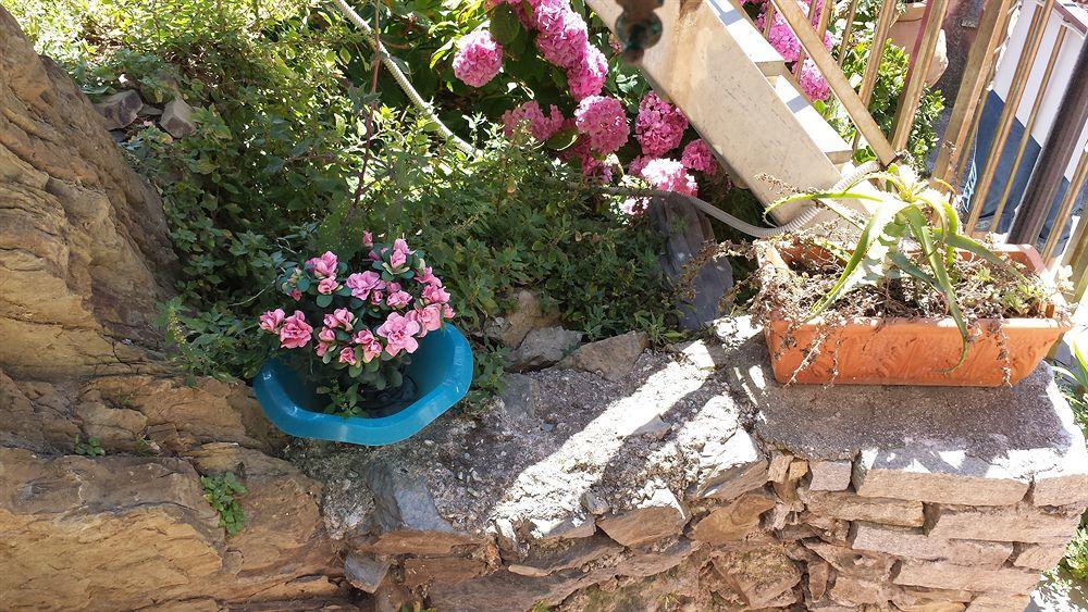 Affittacamere Elisabetta Vernazza Exterior photo